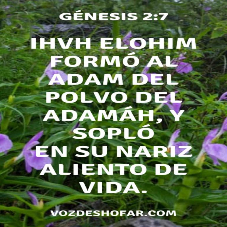 Adam1-lo-creó