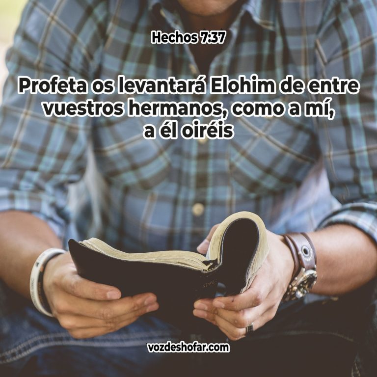 6.-Profeta_Blog